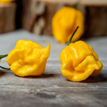 Big Yellow Mama Pepper Seeds - The Pepper Pantry (Formerly Marie Sharp's)